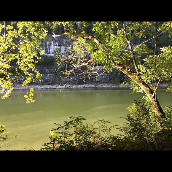 Meet your Posher, Katie - Picture 1 of 1